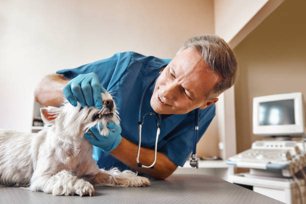 Best Emergency Root Canal Treatment in Flourtown, PA
